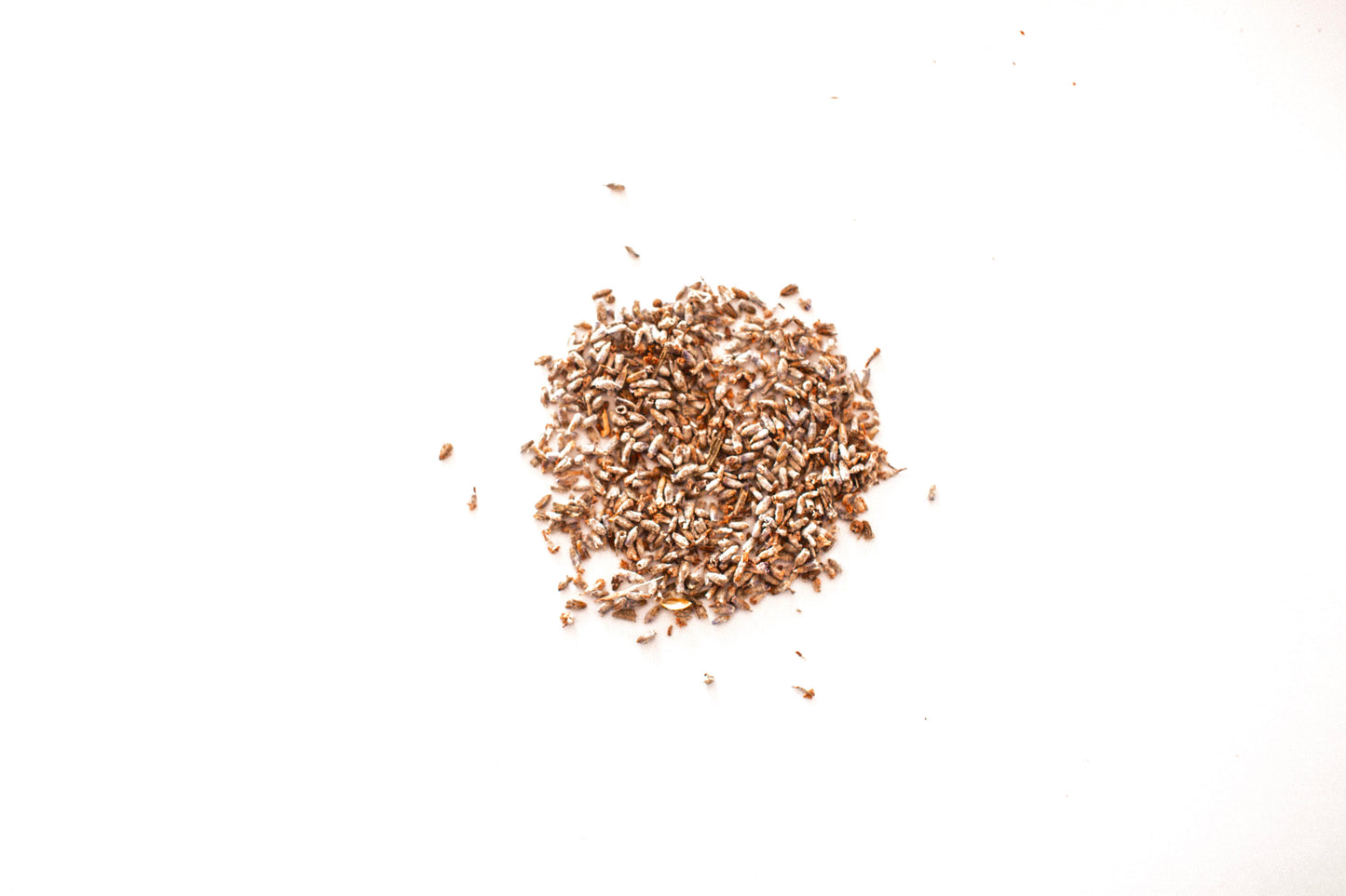Tibetan Lavender Herbal Tea